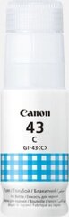 Canon 4672C001 цена и информация | Картриджи для струйных принтеров | hansapost.ee