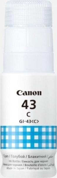 Canon 4672C001 цена и информация | Tindiprinteri kassetid | hansapost.ee
