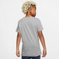 Nike laste T-särk NSW TEE FUTURA ICON TD, hall цена и информация | Särgid poistele | hansapost.ee