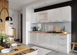 Sisseehitatud köögikapp VITA WHITE ACRYLIC GLOSS/BI, valge цена и информация | Köögikapid | hansapost.ee
