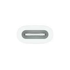 Apple USB-C to Apple Pencil Adapter - MQLU3ZM/A цена и информация | Адаптеры, USB-разветвители | hansapost.ee