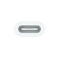 Apple USB-C to Apple Pencil Adapter - MQLU3ZM/A цена и информация | USB adapterid ja jagajad | hansapost.ee