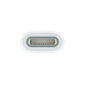 Apple USB-C to Apple Pencil Adapter - MQLU3ZM/A цена и информация | USB adapterid ja jagajad | hansapost.ee