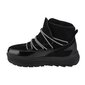 Talvesaapad naistele 4F Snowdrop Boots W 4FAW22FSBSF007-20S, mustad цена и информация | Saapad naistele | hansapost.ee