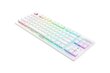 Razer Optical Keyboard Deathstalker V2 Pro RGB LED hind ja info | Klaviatuurid | hansapost.ee