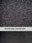 Matid ARS Dodge Ram / 2009-2019 (Standard kate) hind ja info | Tekstiilmatid | hansapost.ee