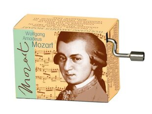 Muusikakast Fridolin Mozart Night music hind ja info | Arendavad laste mänguasjad | hansapost.ee