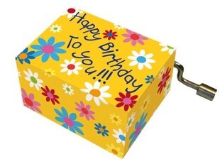 Музыкальная шкатулка Fridolin Happy Birthday, желтый kaina ir informacija | Развивающие игрушки для детей | hansapost.ee