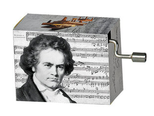 Muusikakast Fridolin Beethoven Song of Joy hind ja info | Arendavad laste mänguasjad | hansapost.ee