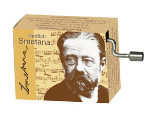 Музыкальная шкатулка Fridolin Bedrich Smetana Die Moldau цена и информация | Развивающие игрушки для детей | hansapost.ee