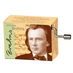 Музыкальная шкатулка Fridolin Brahms Lullaby цена и информация | Развивающие игрушки для детей | hansapost.ee