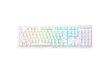 Razer Optical Gaming Keyboard Deathstalker V2 Pro RGB LED hind ja info | Klaviatuurid | hansapost.ee