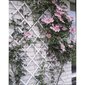 Nature aiavõre 50 x 150 cm, PVC, valge hind ja info | Aiad, murupiirded, aiavõrgud | hansapost.ee