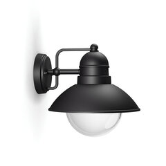 Лампа Philips hoverfly цена и информация | Уличное освещение | hansapost.ee