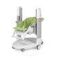 Multifunktsionaalne söögitool Peg Perego Tatamia Follow Me, Green цена и информация | Laste söögitoolid | hansapost.ee