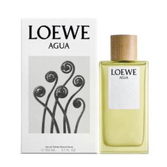 Parfüüm universaalne naiste&meeste Loewe Agua EDT (150 ml) hind ja info | Parfüümid meestele | hansapost.ee