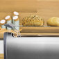 Cecotec Steel&Toast hind ja info | Rösterid | hansapost.ee