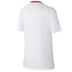 Nike рубашка спортивная мужская Poland Breathe Top Home Jr 894013 100, белая цена и информация | Мужская спортивная одежда | hansapost.ee