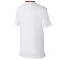 Spordi T-särk Nike Poland Breathe Top Home Jr 894013 100, valge цена и информация | Spordiriided meestele | hansapost.ee