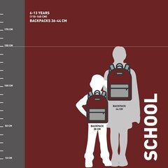 Школьный рюкзак Harry Potter Gryffindor Красный (30 x 18 x 46 cm) цена и информация | Harry Potter Товары для детей и младенцев | hansapost.ee