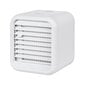 Mini konditsioneer, ventilaator TEESA Cool Touch C500 (õhkjahuti) (8W) hind ja info | Ventilaatorid | hansapost.ee