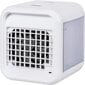 Mini konditsioneer, ventilaator TEESA Cool Touch C500 (õhkjahuti) (8W) hind ja info | Ventilaatorid | hansapost.ee