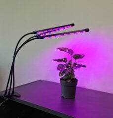 Fütolamp 3x20 LED hind ja info | Nutipotid ja taimelambid | hansapost.ee