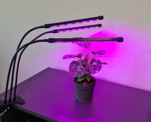 Fütolamp 3x20 LED hind ja info | Nutipotid ja taimelambid | hansapost.ee