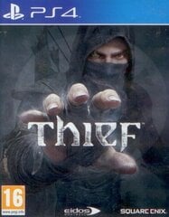 PlayStation 4 Mäng Thief цена и информация | Компьютерные игры | hansapost.ee