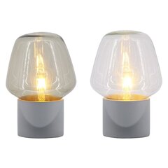 Настольная лампа DKD Home Decor, 2 шт цена и информация | Настольные лампы | hansapost.ee