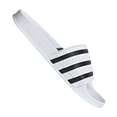 Тапочки для мужчин Adidas Adilette M 280648, 70531, белый цена и информация | Мужские шлепанцы, босоножки | hansapost.ee