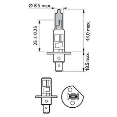 Pirnid Philips White Vision Intense white xenon effect H1, 2 tk + 2 tk x W5W hind ja info | Autopirnid | hansapost.ee