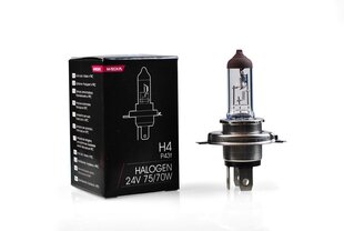 Галогенная лампа M-Tech H4 24В цена и информация | Автомобильные лампочки | hansapost.ee