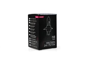 Галогенная лампа M-Tech H4 24В цена и информация | Автомобильная ксеноновая лампа D2R 6000К (Китай) | hansapost.ee
