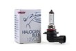 Halogeenpirn M-Tech H10 12V цена и информация | Autopirnid | hansapost.ee