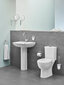 WC-pott Grohe Bau Rimless, aeglaselt sulguva kaanega, 39496000 цена и информация | WС-potid | hansapost.ee
