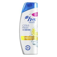 Kõõmavastane šampoon Citrus Fresh Head & Shoulders (340 ml) hind ja info | Head & Shoulders Parfüümid, lõhnad ja kosmeetika | hansapost.ee