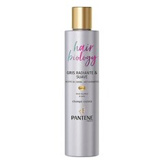 Šampoon Hair Biology Gris Radiante Pantene (250 ml) hind ja info | Šampoonid | hansapost.ee