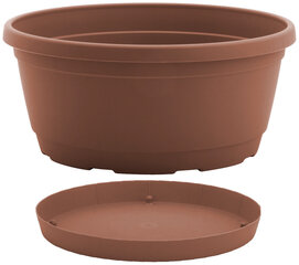 Nicoli вазон с тарелкой Rumba 18, коричневый цена и информация | Ящики для рассады | hansapost.ee