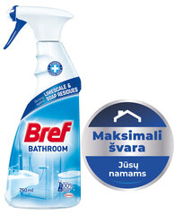 Vannipuhastusvahend BREF Blue, 750 ml hind ja info | Puhastusvahendid | hansapost.ee