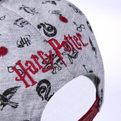 Кепка Harry Potter 57-59 cм цена и информация | Мужские шарфы, шапки, перчатки | hansapost.ee