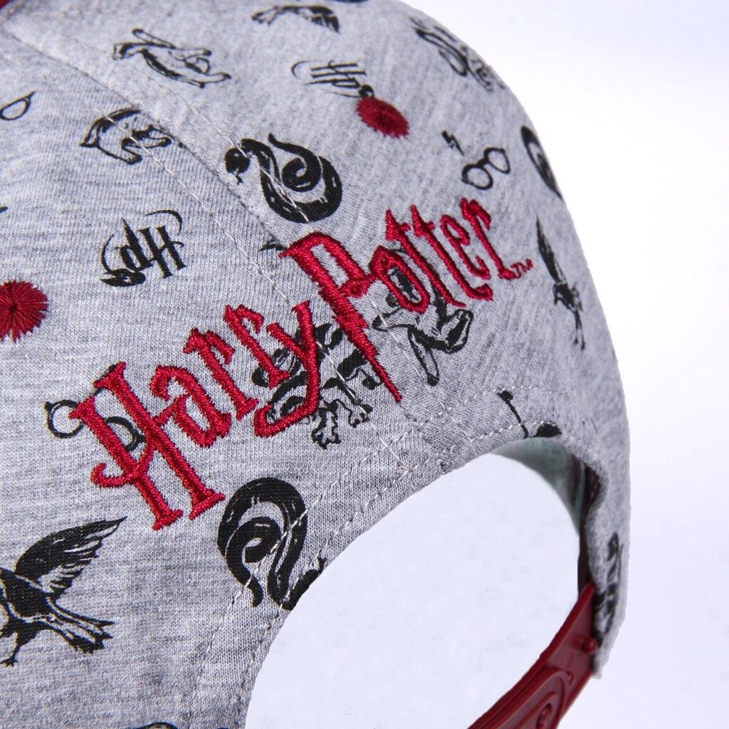 Müts Harry Potter hall57-59 cm hind ja info | Mütsid, sallid ja kindad meestele | hansapost.ee