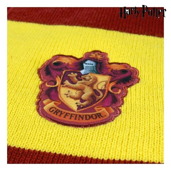 Sallid Gryffindor Harry Potter punane hind ja info | Talveriided lastele | hansapost.ee