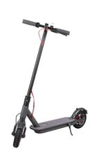 Elektriline tõukeratas Fast Wheels Pro, 25 km / h price and information | Electric scooters | hansapost.ee