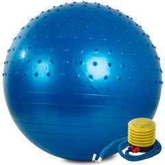 Гимнастический мяч, 70 см, синий цена и информация | Гимнастические мячи | hansapost.ee