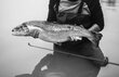 Kalapüügi rinnakahlajad - 46 hind ja info | Kalastusriided, kalamehe saapad | hansapost.ee