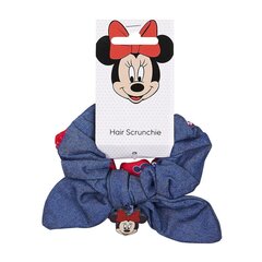 Patsikummid Minnie Mouse Punane Sinine 2 Ühikut hind ja info | Juukseaksessuaarid | hansapost.ee