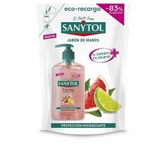 Жидкое мыло с дозатором и запасом Sanytol (200 мл) цена и информация | Мыло | hansapost.ee