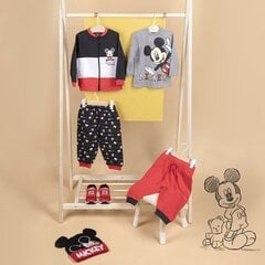 Детская шапка Mickey Mouse Чёрный цена и информация | Шапки, перчатки, шарфы для мальчиков | hansapost.ee