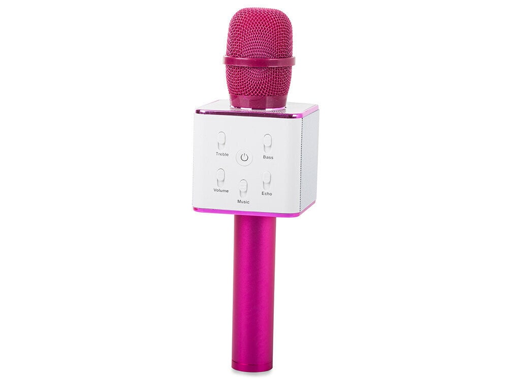 Bluetooth karaoke mikrofon, dünaamiline hind ja info | Mikrofonid | hansapost.ee